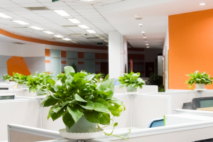 Having good lighting can be a major security enhancement for your business.